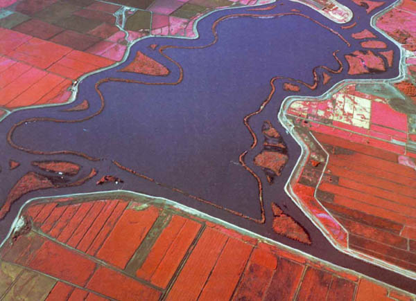 Aerial Infrared